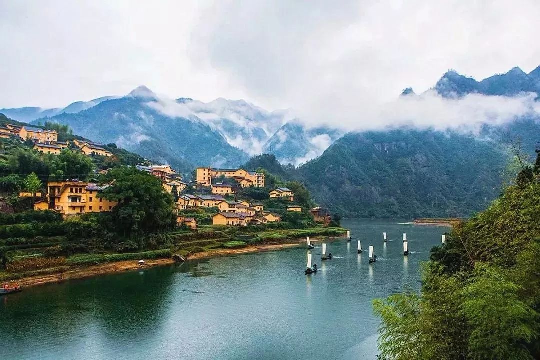 浙江小巷深处的味觉盛宴